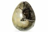 Septarian Dragon Egg Geode - Sparkly Black Crystals #364458-1